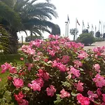 Zenith Bibione