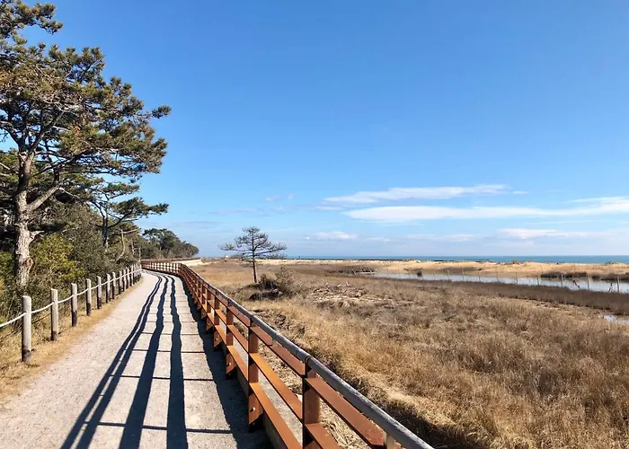 Zenith * ビビオーネ